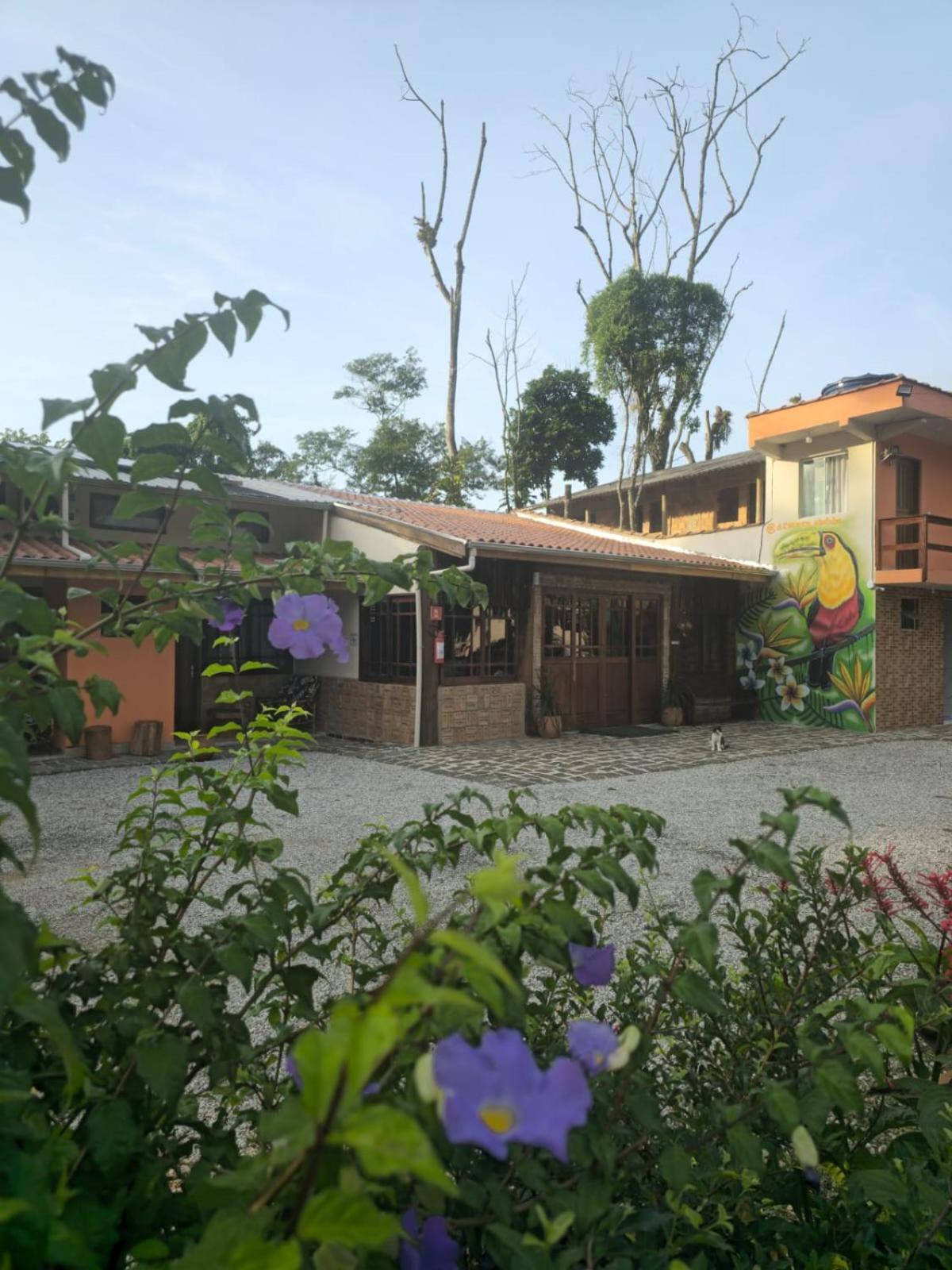 Pousada Dona Carmem Ubatuba Exterior foto